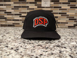 "DSP" 7 Panel